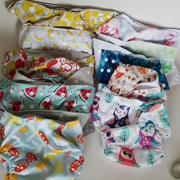 AlvaBaby And Simple Being Cloth Diaper & Liner Lot